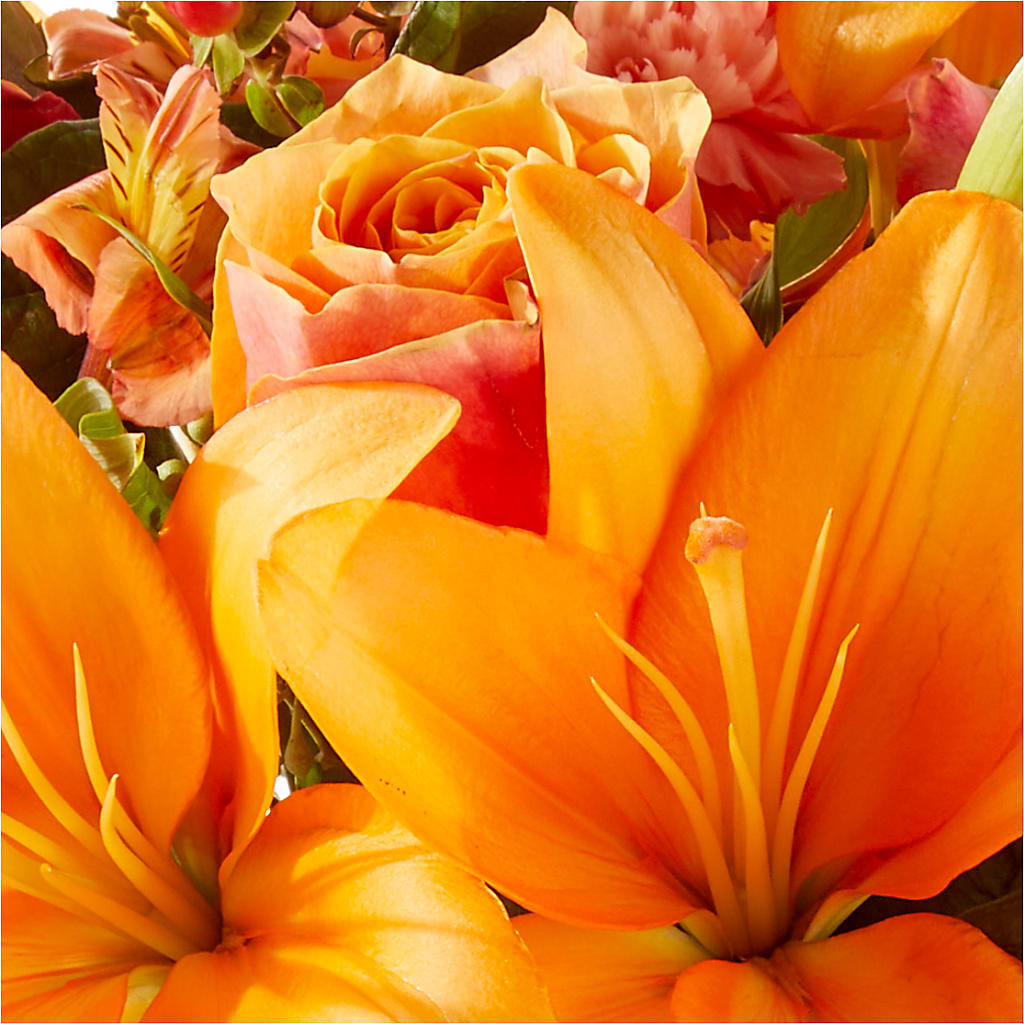Afternoon Light Bouquet –  Green Room Flowers Llc, Tucson AZ