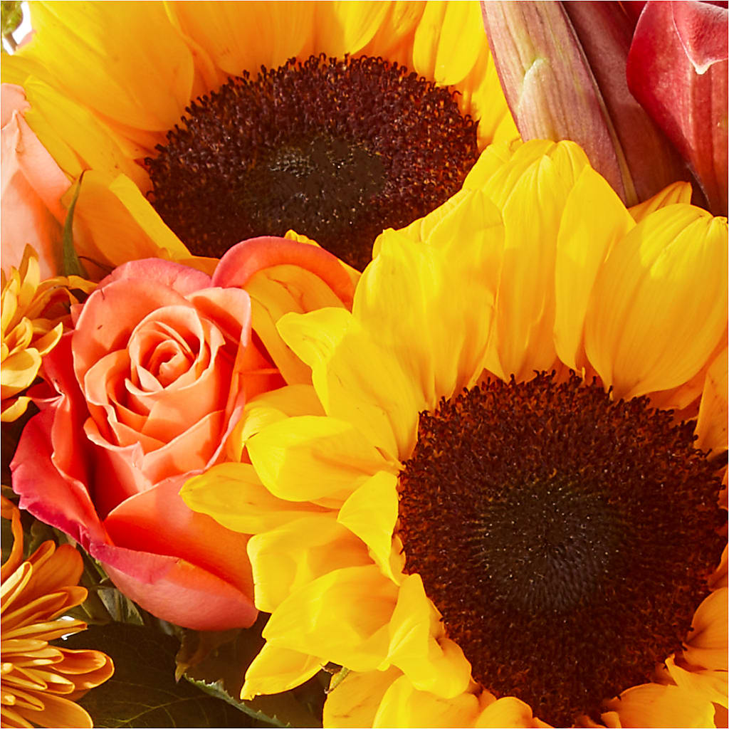 Acorn Lane Bouquet –  Green Room Flowers Llc, Tucson AZ