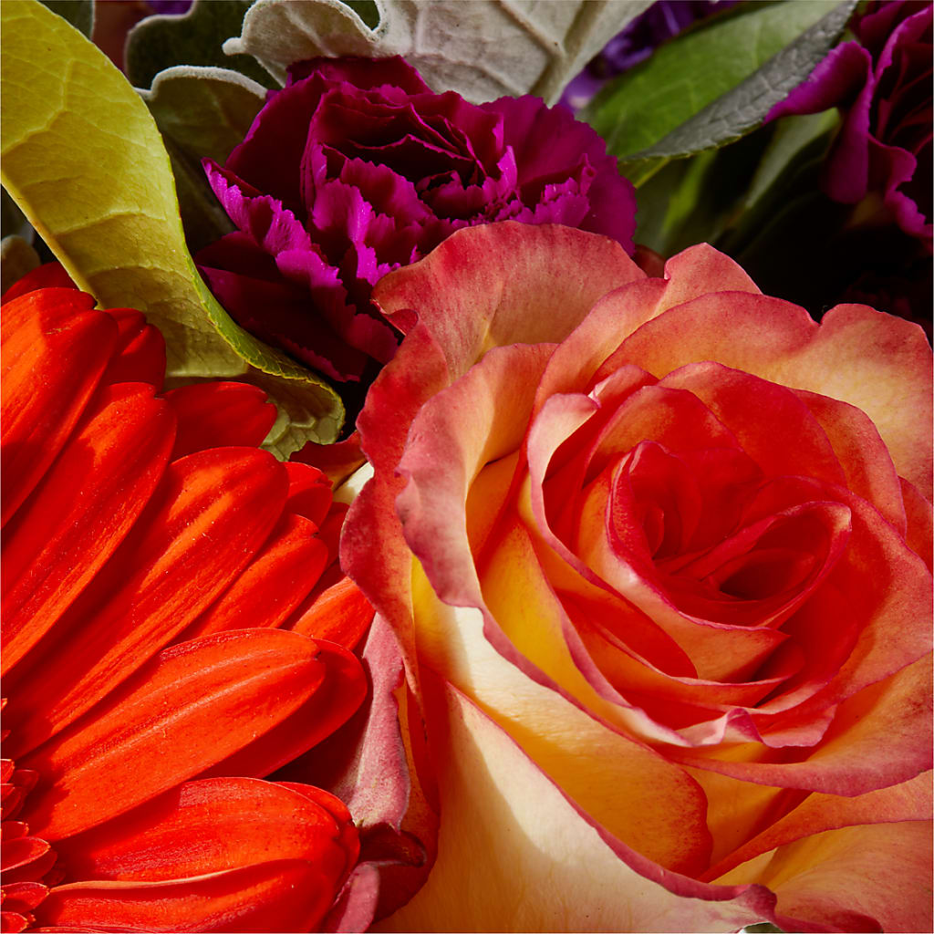Sangria Bouquet –  Green Room Flowers Llc, Tucson AZ