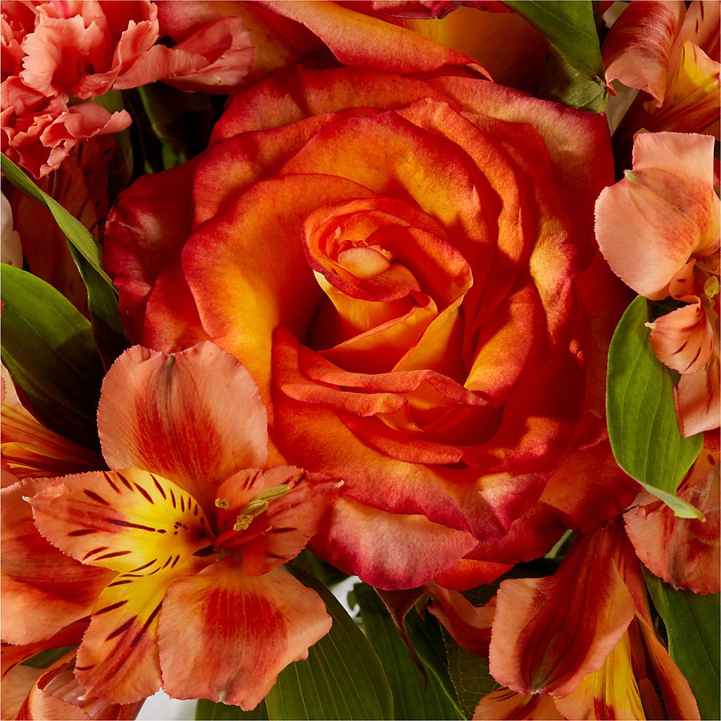 Apricot Glow Bouquet –  Green Room Flowers Llc, Tucson AZ