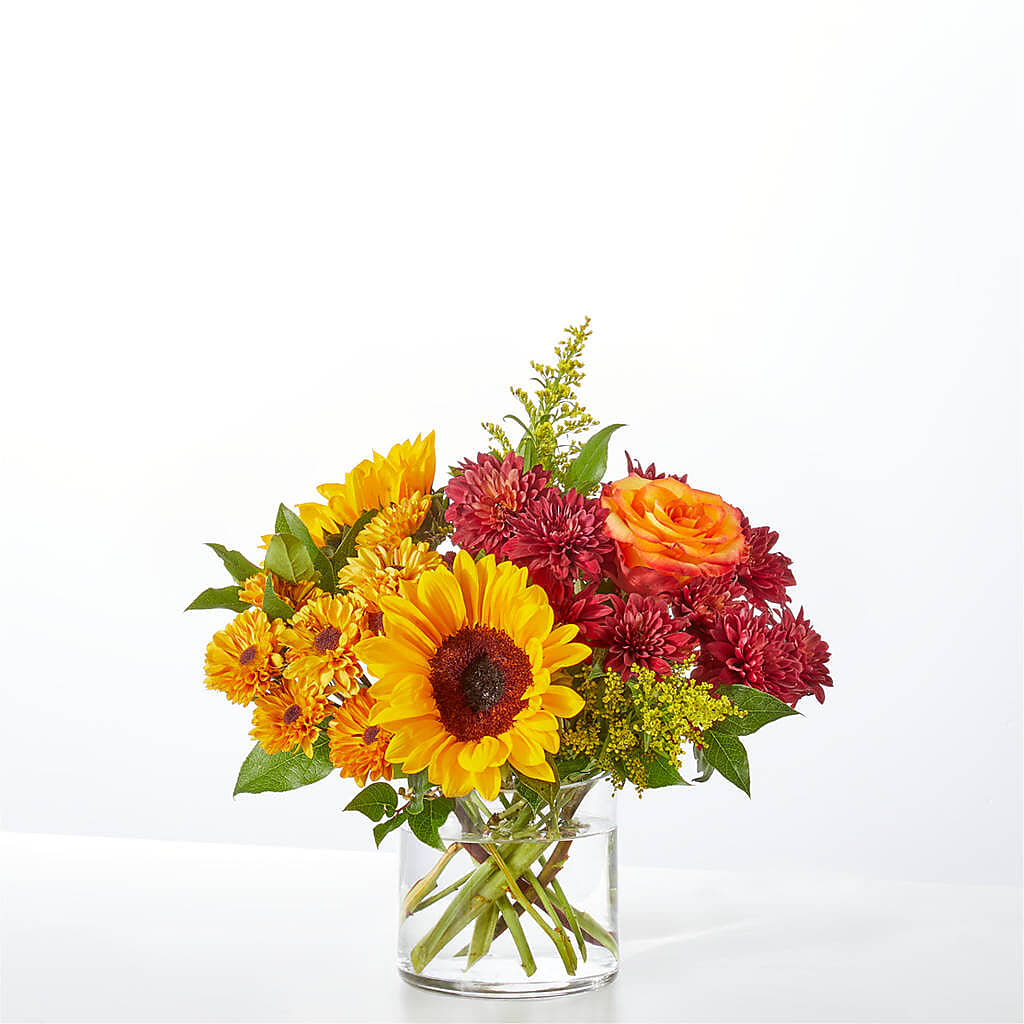 Flannel Scarf Bouquet –  Green Room Flowers Llc, Tucson AZ