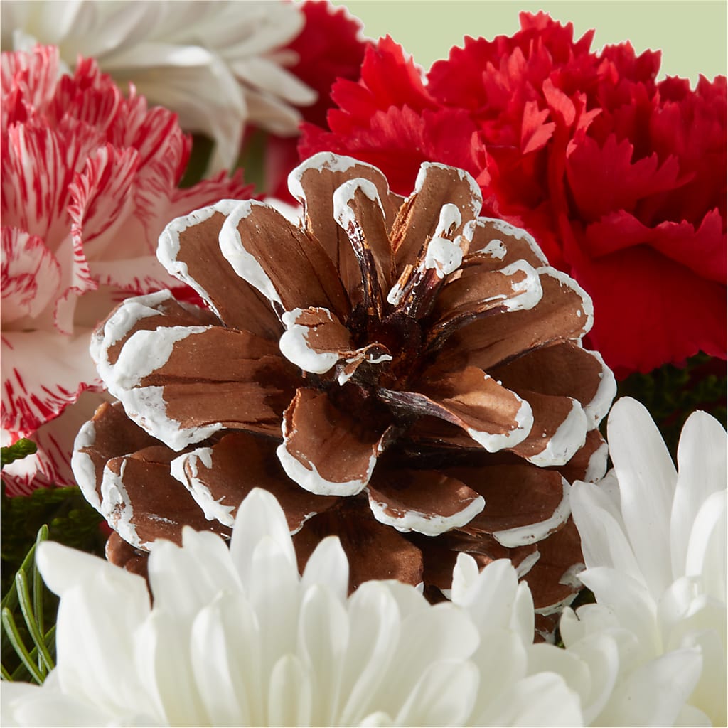 Candy Cane Lane Bouquet –  Green Room Flowers Llc, Tucson AZ