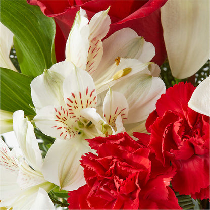 Holiday Season Bouquet –  Green Room Flowers Llc, Tucson AZ