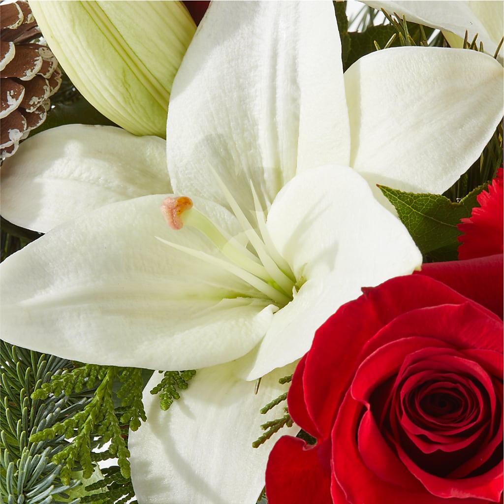 Oh So Jolly Bouquet –  Green Room Flowers Llc, Tucson AZ