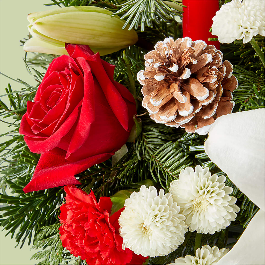 Seasonal Festivities Centerpiece –  Green Room Flowers Llc, Tucson AZ