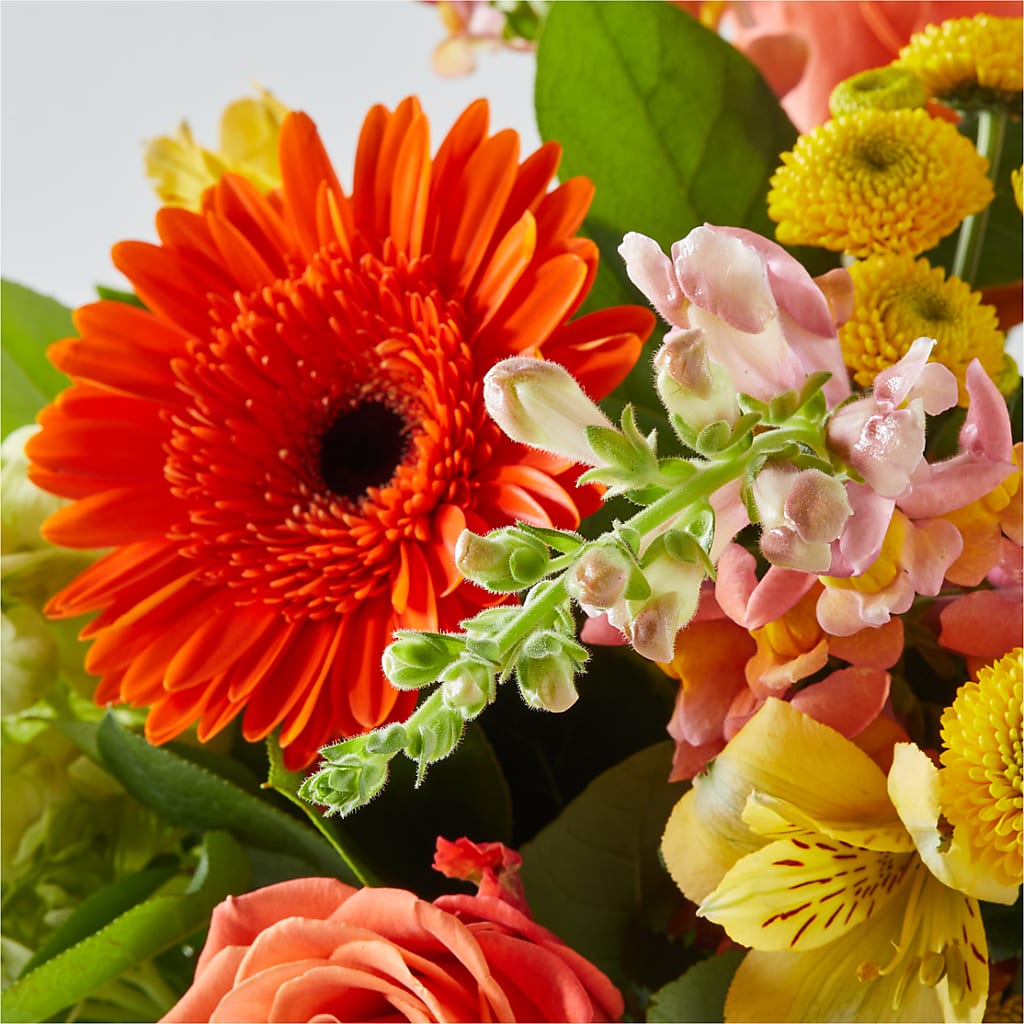 Autumn Sunshine Bouquet –  Green Room Flowers Llc, Tucson AZ