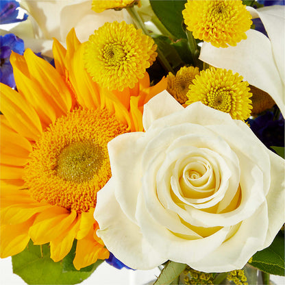 Stargazing Bouquet –  Green Room Flowers Llc, Tucson AZ