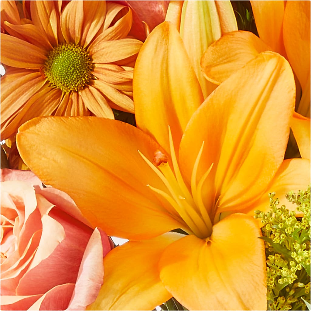 Harvest Hayride Bouquet –  Green Room Flowers Llc, Tucson AZ