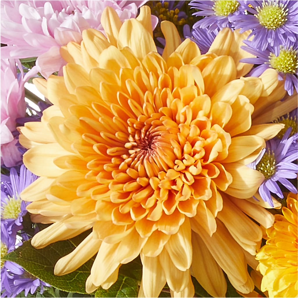 Countryside Bouquet –  Green Room Flowers Llc, Tucson AZ