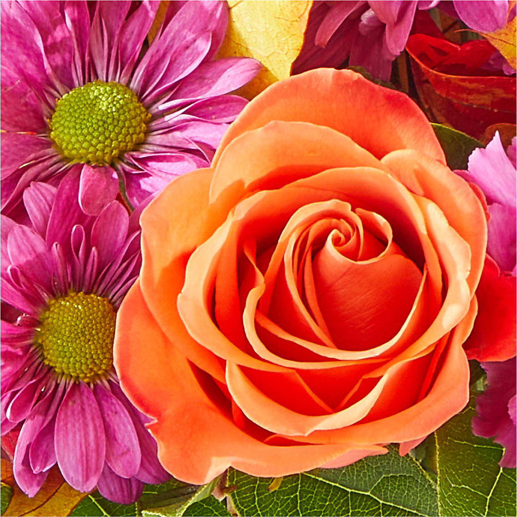 Mum's the Word Bouquet –  Green Room Flowers Llc, Tucson AZ