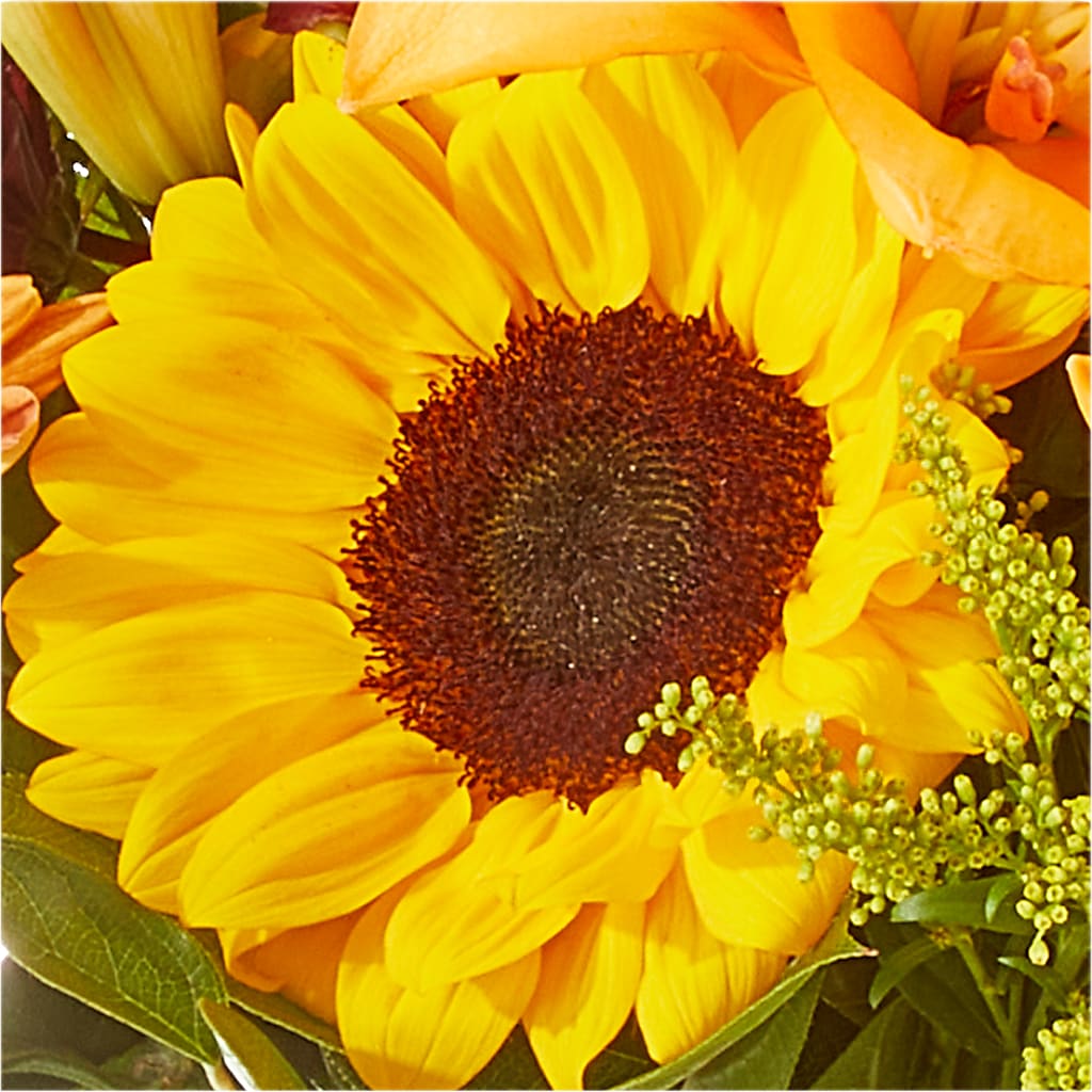 Seasons Change Bouquet –  Green Room Flowers Llc, Tucson AZ