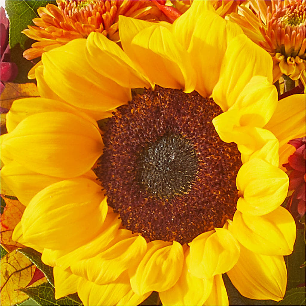 Sunny Side Bouquet –  Green Room Flowers Llc, Tucson AZ