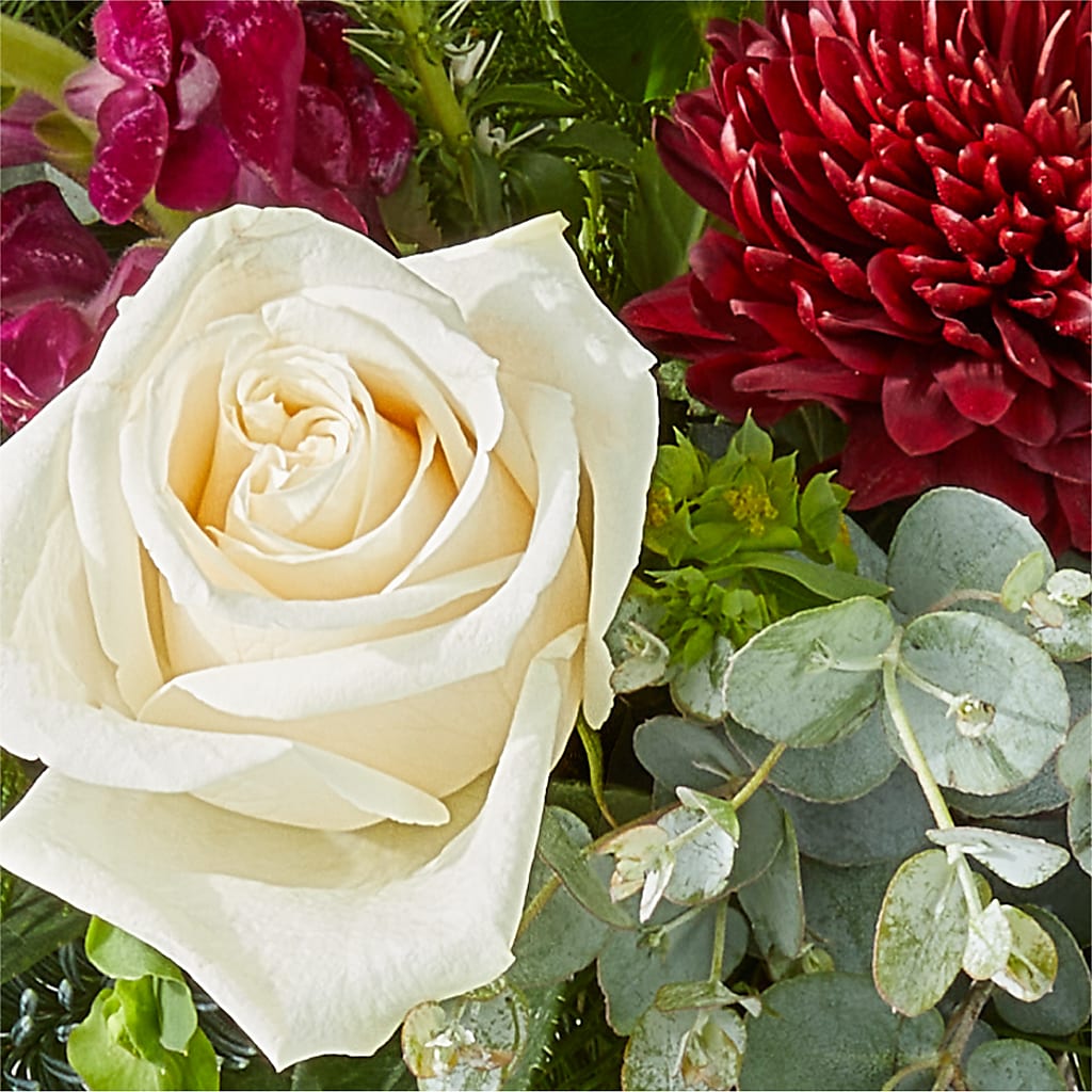 Cranberry Fizz Bouquet –  Green Room Flowers Llc, Tucson AZ