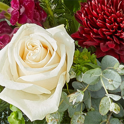 Cranberry Fizz Bouquet –  Green Room Flowers Llc, Tucson AZ