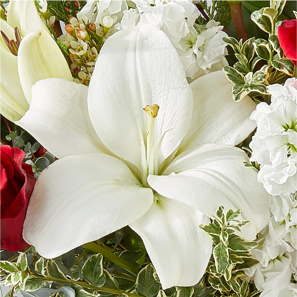 Twinkle Lights Bouquet –  Green Room Flowers Llc, Tucson AZ
