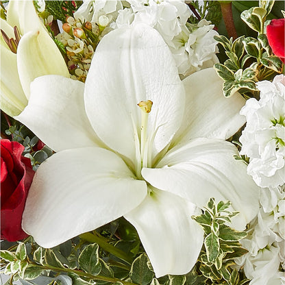 Twinkle Lights Bouquet –  Green Room Flowers Llc, Tucson AZ