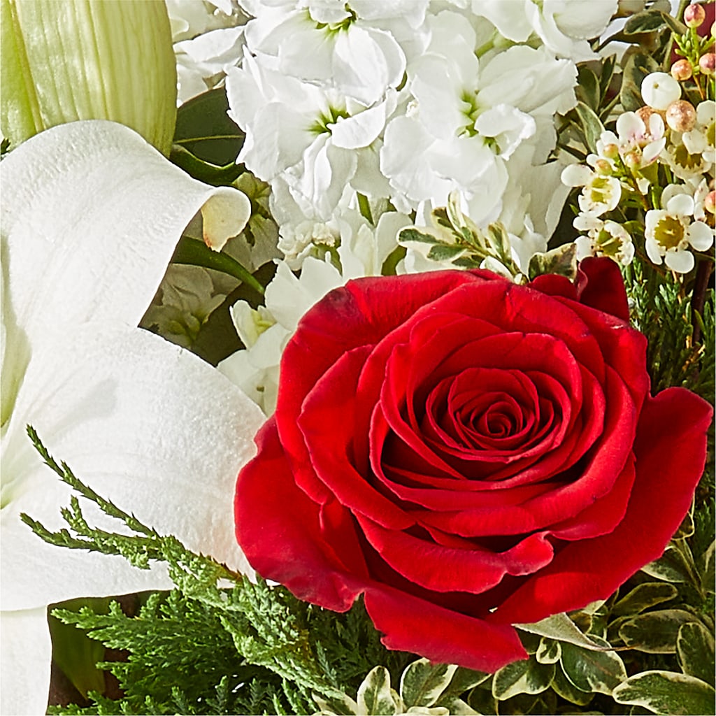 Twinkle Lights Bouquet –  Green Room Flowers Llc, Tucson AZ