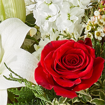 Twinkle Lights Bouquet –  Green Room Flowers Llc, Tucson AZ