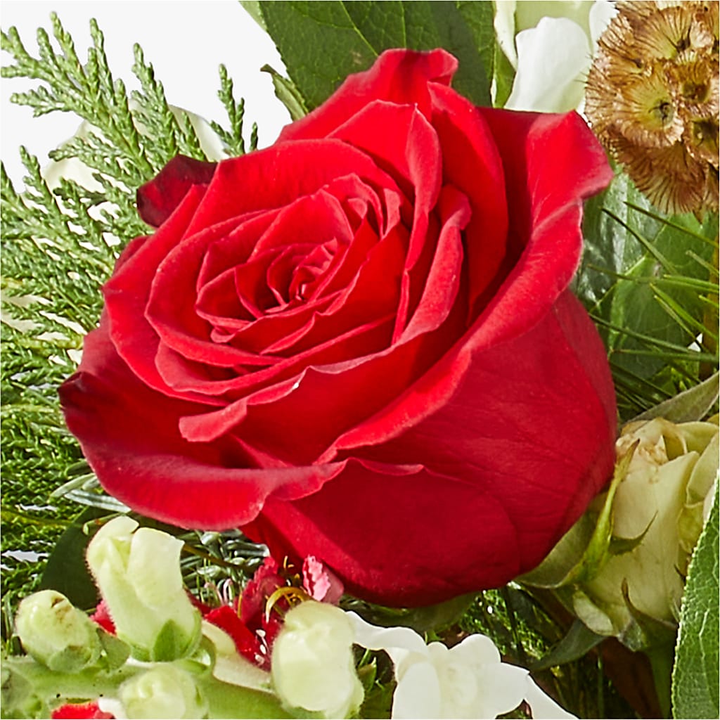 Deck the Halls Bouquet –  Green Room Flowers Llc, Tucson AZ