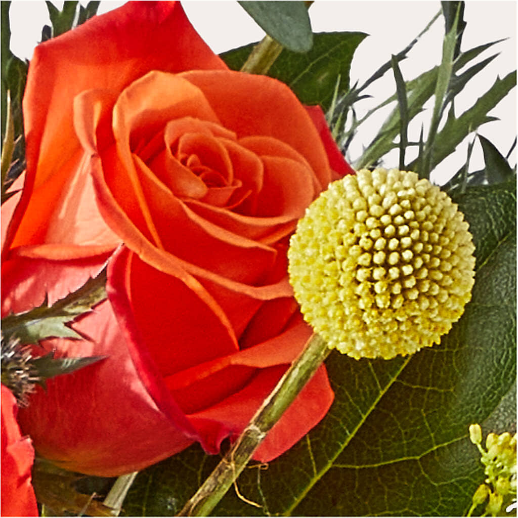 Disco Bouquet –  Green Room Flowers Llc, Tucson AZ