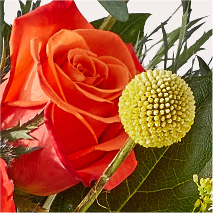 Disco Bouquet –  Green Room Flowers Llc, Tucson AZ