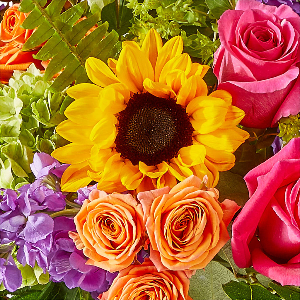 Vibrant Greetings Bouquet –  Green Room Flowers Llc, Tucson AZ