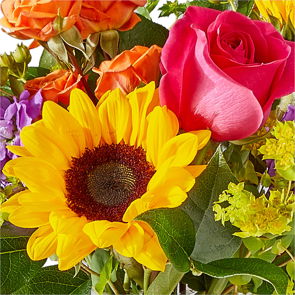 Vibrant Greetings Bouquet –  Green Room Flowers Llc, Tucson AZ