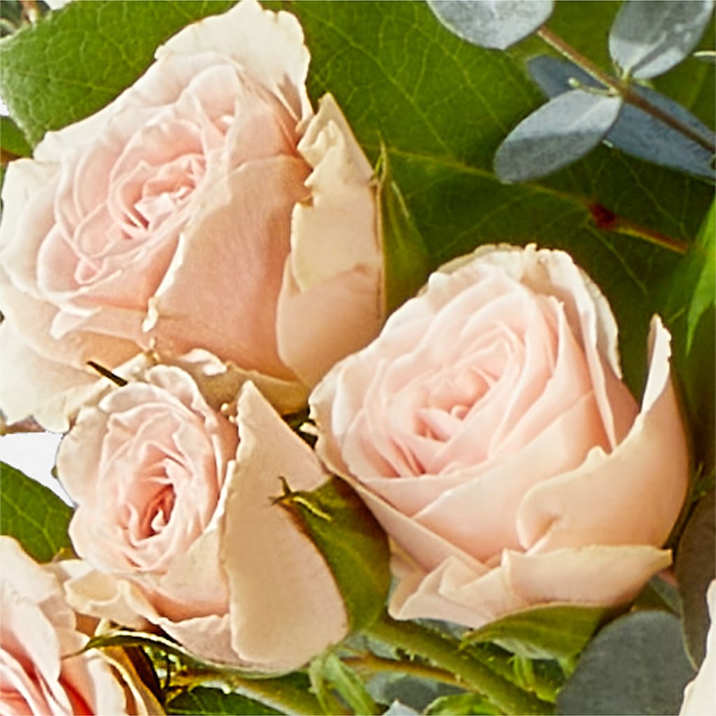 Inspired Bouquet –  Green Room Flowers Llc, Tucson AZ