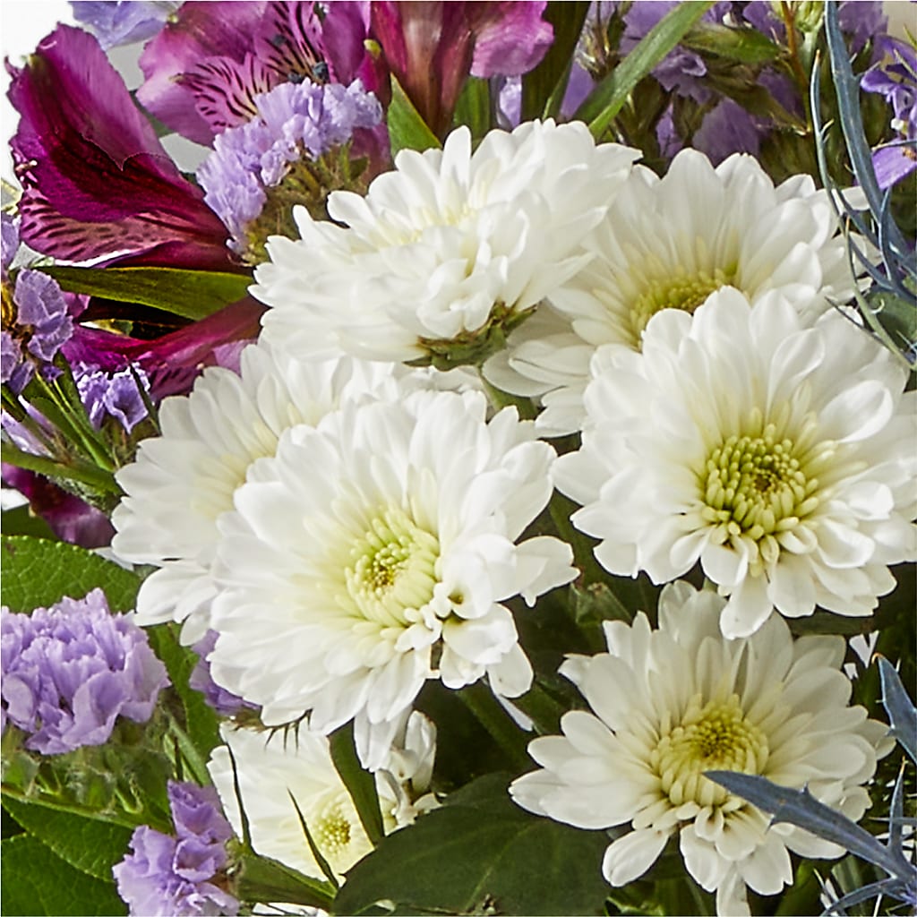 Shooting Star Bouquet –  Green Room Flowers Llc, Tucson AZ