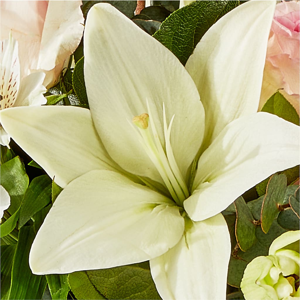 Ballet Slippers Bouquet –  Green Room Flowers Llc, Tucson AZ
