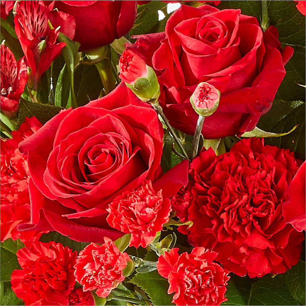 The Heartstrings Bouquet –  Green Room Flowers Llc, Tucson AZ