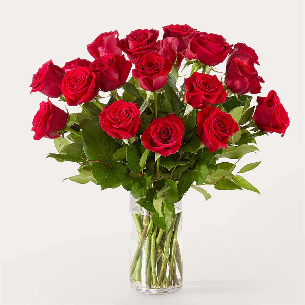 The One Red Rose Bouquet –  Green Room Flowers Llc, Tucson AZ