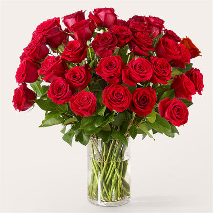 The One Red Rose Bouquet –  Green Room Flowers Llc, Tucson AZ