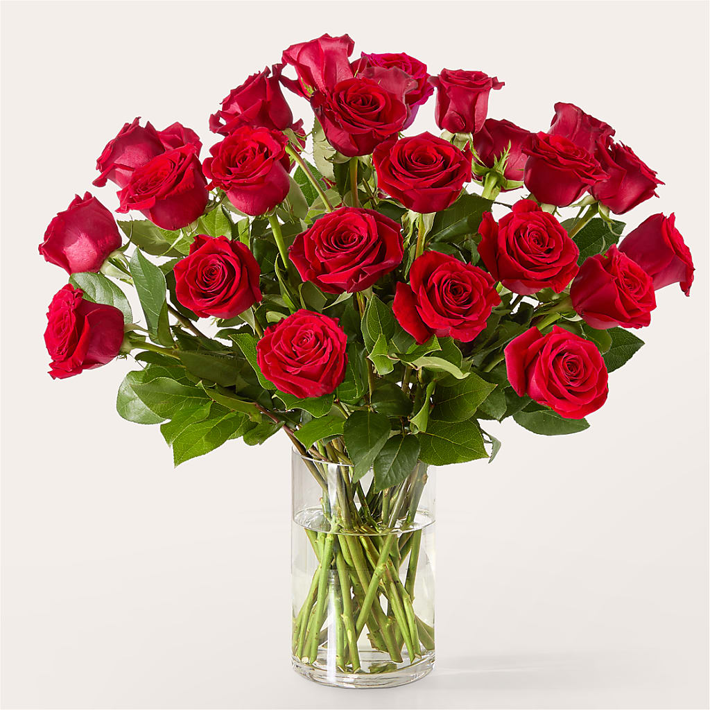 The One Red Rose Bouquet –  Green Room Flowers Llc, Tucson AZ