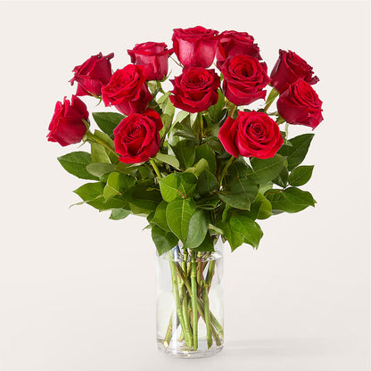 The One Red Rose Bouquet –  Green Room Flowers Llc, Tucson AZ