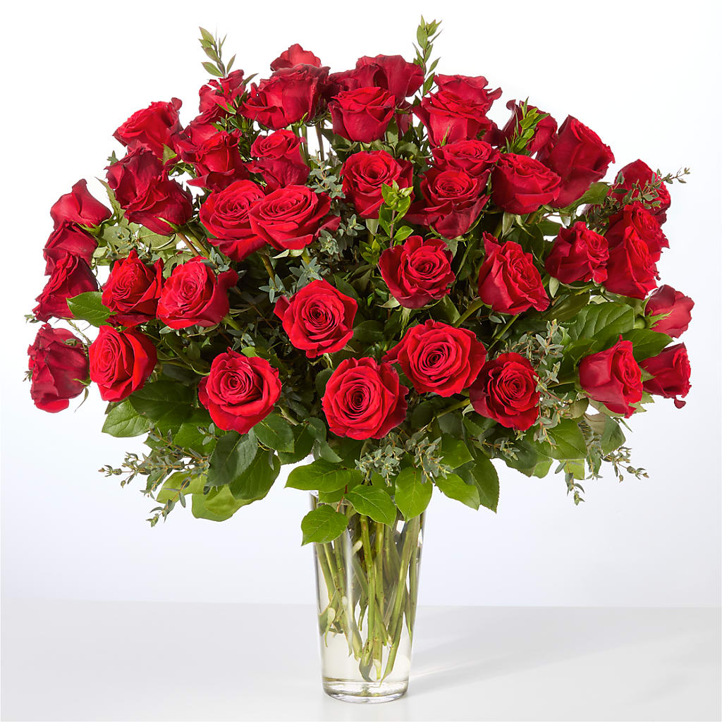 Forever Yours Fifty Stem Red Rose Bouquet –  Green Room Flowers Llc, Tucson AZ