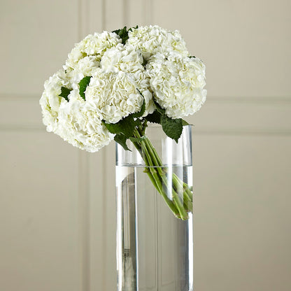 White Hydrangea Hand-Tied Bouquet –  Green Room Flowers Llc, Tucson AZ