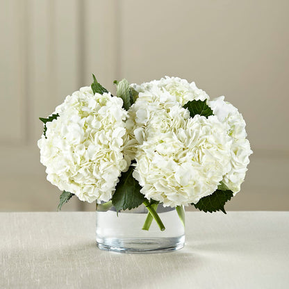 White Hydrangea Bouquet –  Green Room Flowers Llc, Tucson AZ