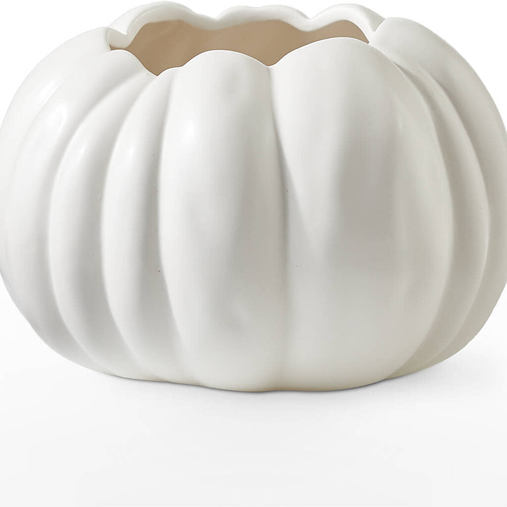 Pumpkin to Talk About Bouquet –  Green Room Flowers Llc, Tucson AZ