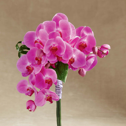 Glorious Bouquet –  Green Room Flowers Llc, Tucson AZ