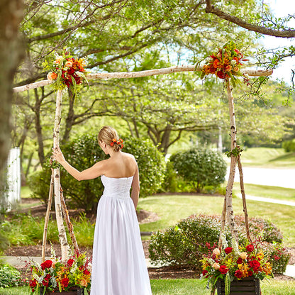 Arbor of Love Archway –  Green Room Flowers Llc, Tucson AZ