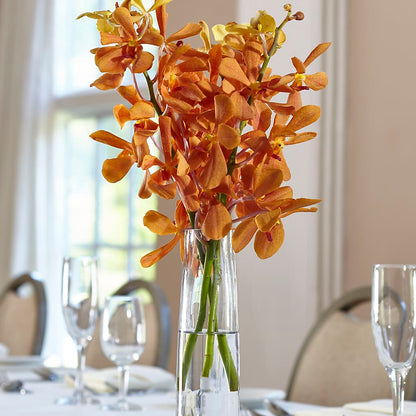 Orange Mokara Bud Vase –  Green Room Flowers Llc, Tucson AZ